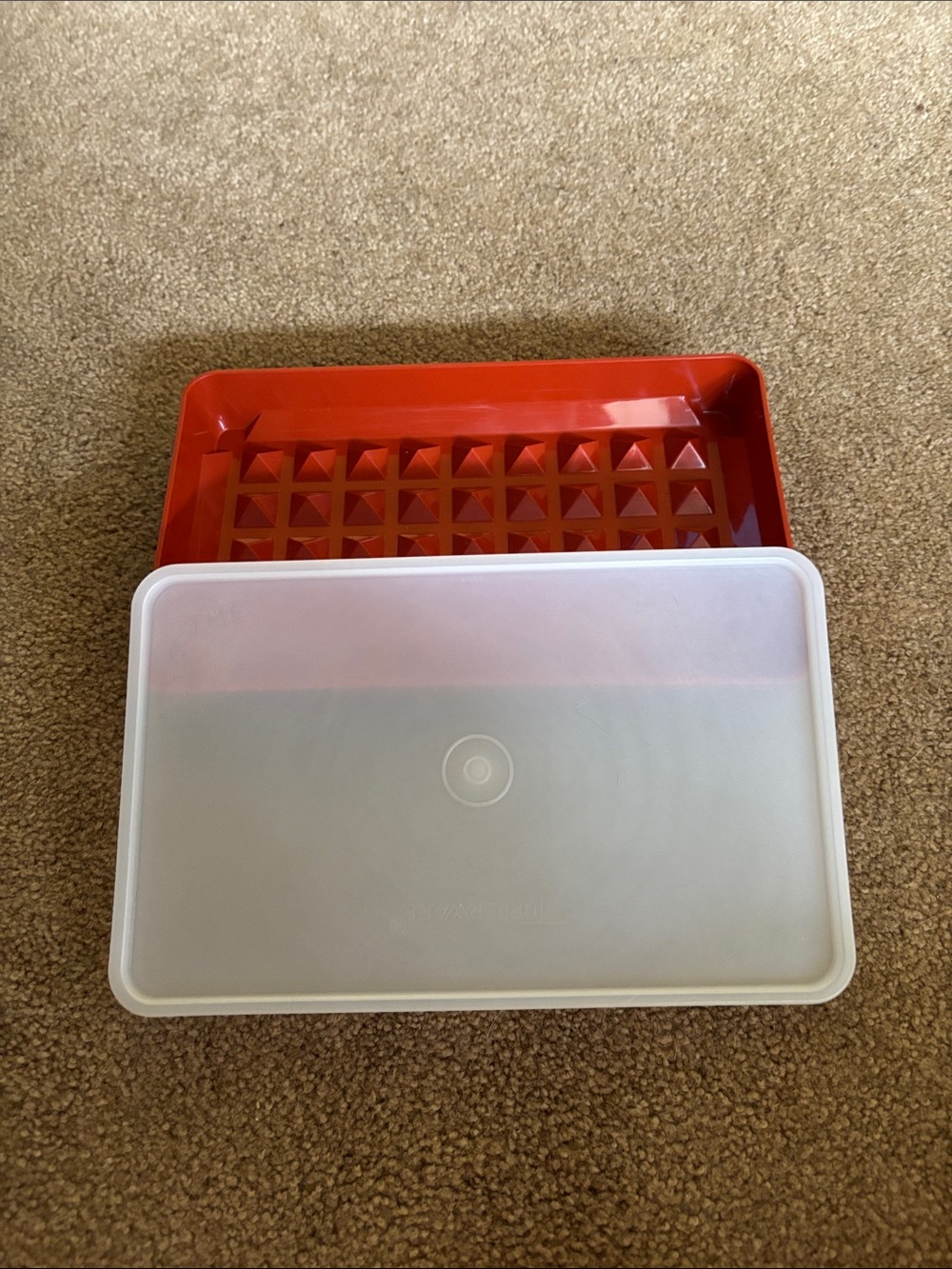 Tupperware Marinade with Frosted Lid